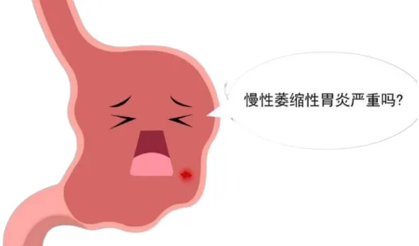 1728551696876.png