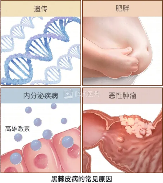 1728627585391.png