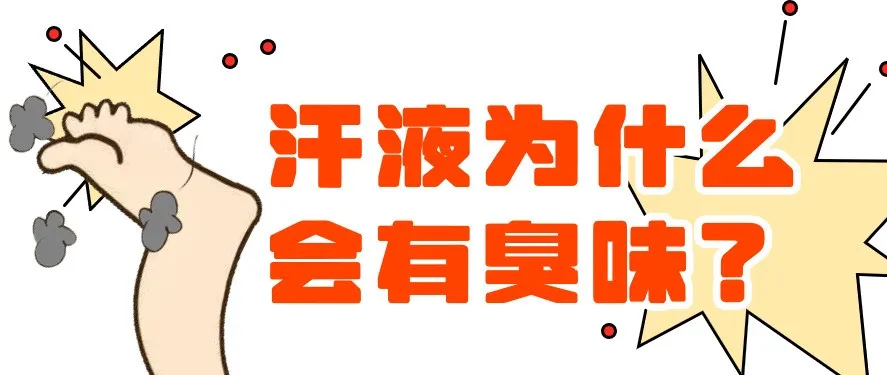 1728721062564.png