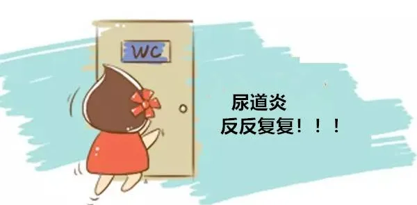 1729048518494.png