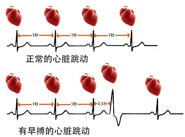 1730360163486.png