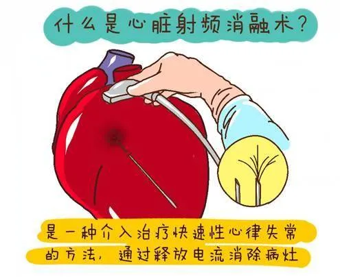 1730361211854.png