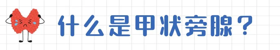 1730776546793.png