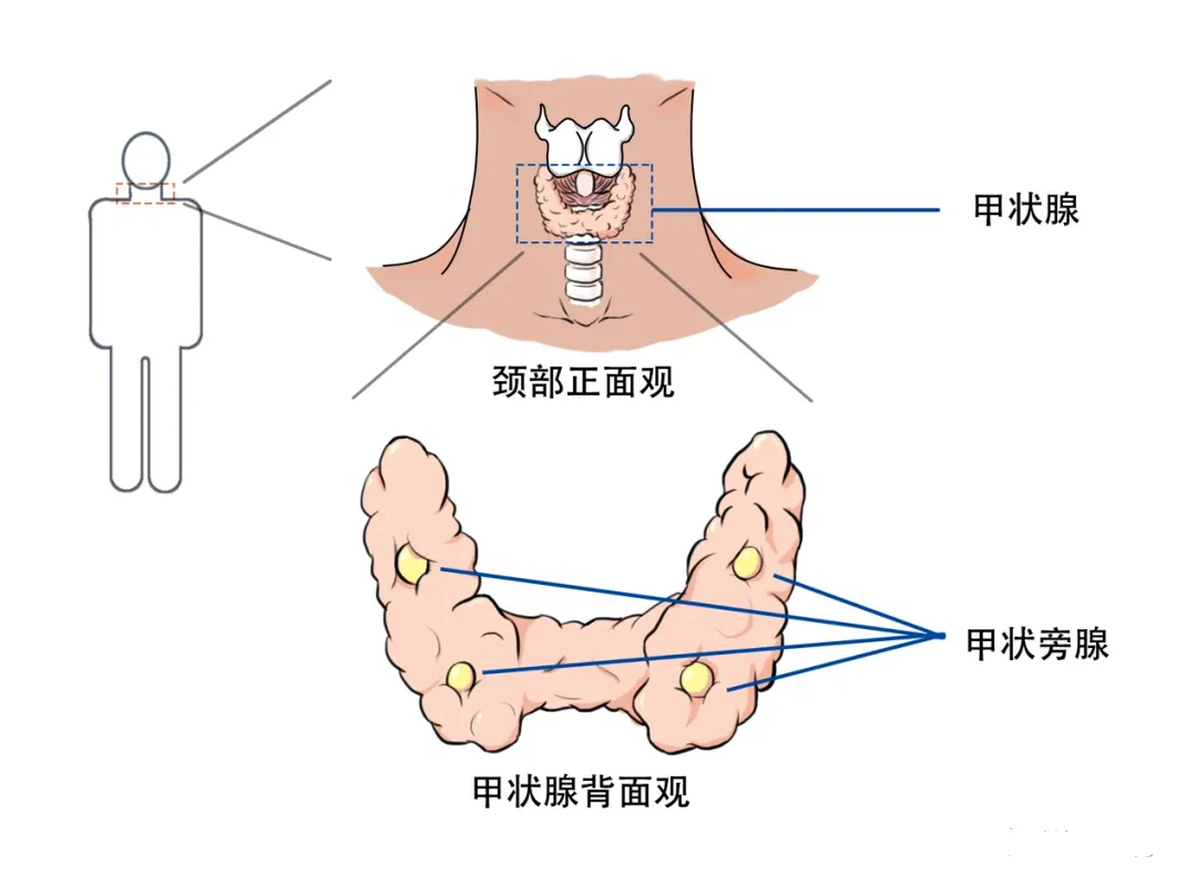 1730776570111.png