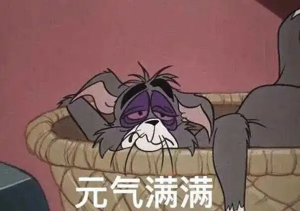 1731985405262.png