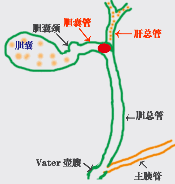 1732498285126.png