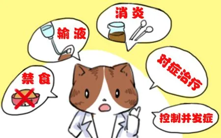 图片14.png