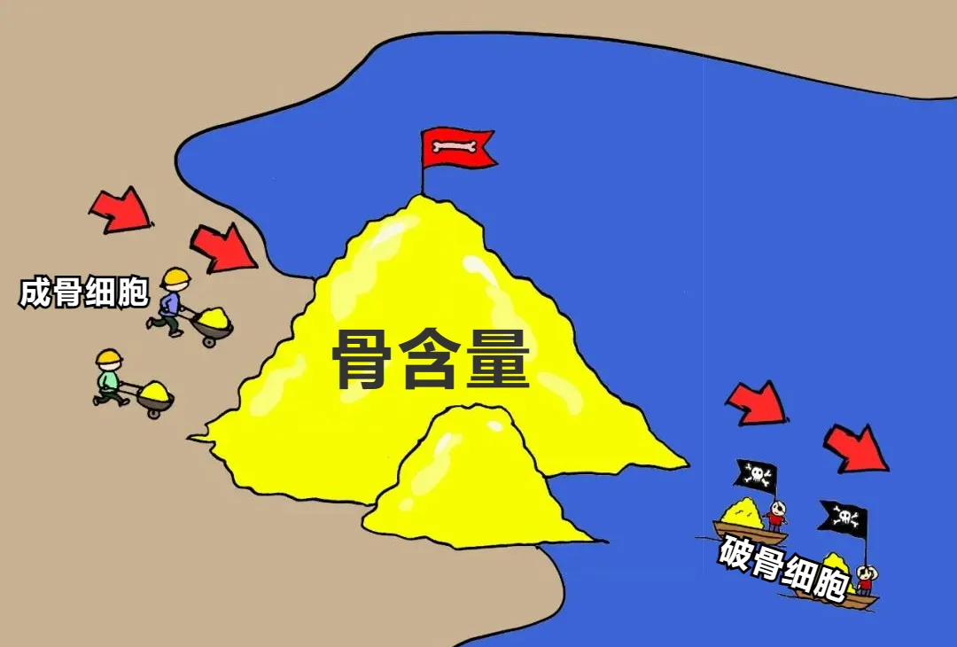 1732776464728.png