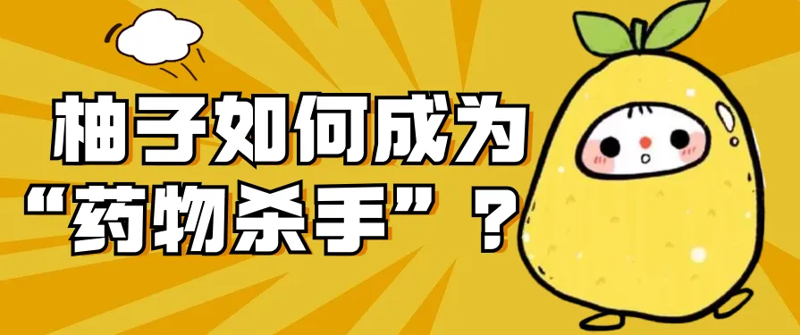 1733125446922.png