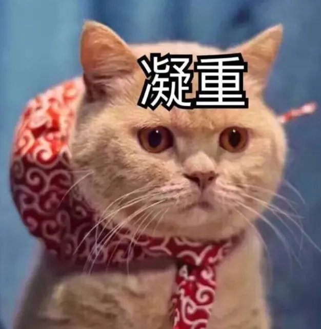 1733125724437.png