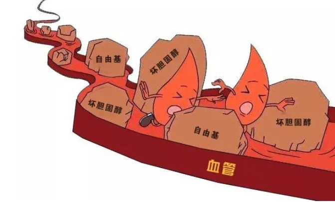 1733298383437.png
