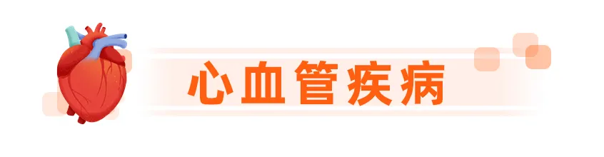 1733381244072.png