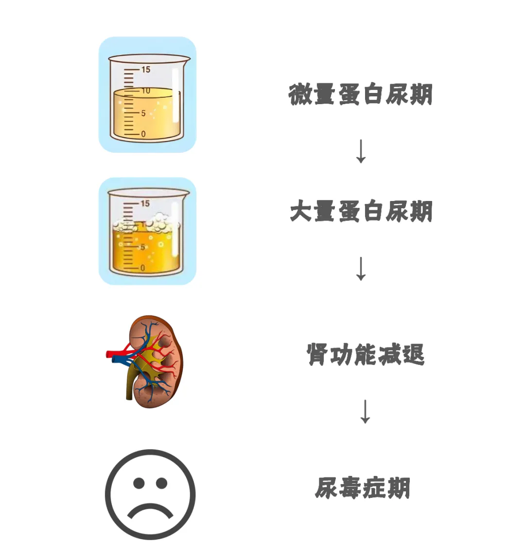 1733381642298.png