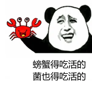 图片15.png