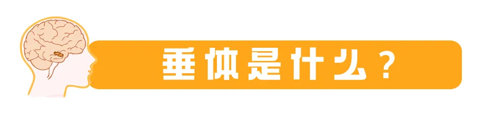 1734678223422.png