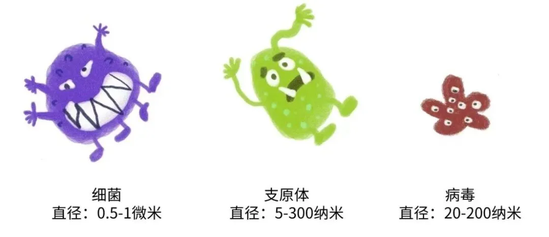 1735544203816.png