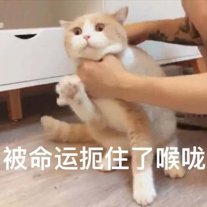 1735547343708.png
