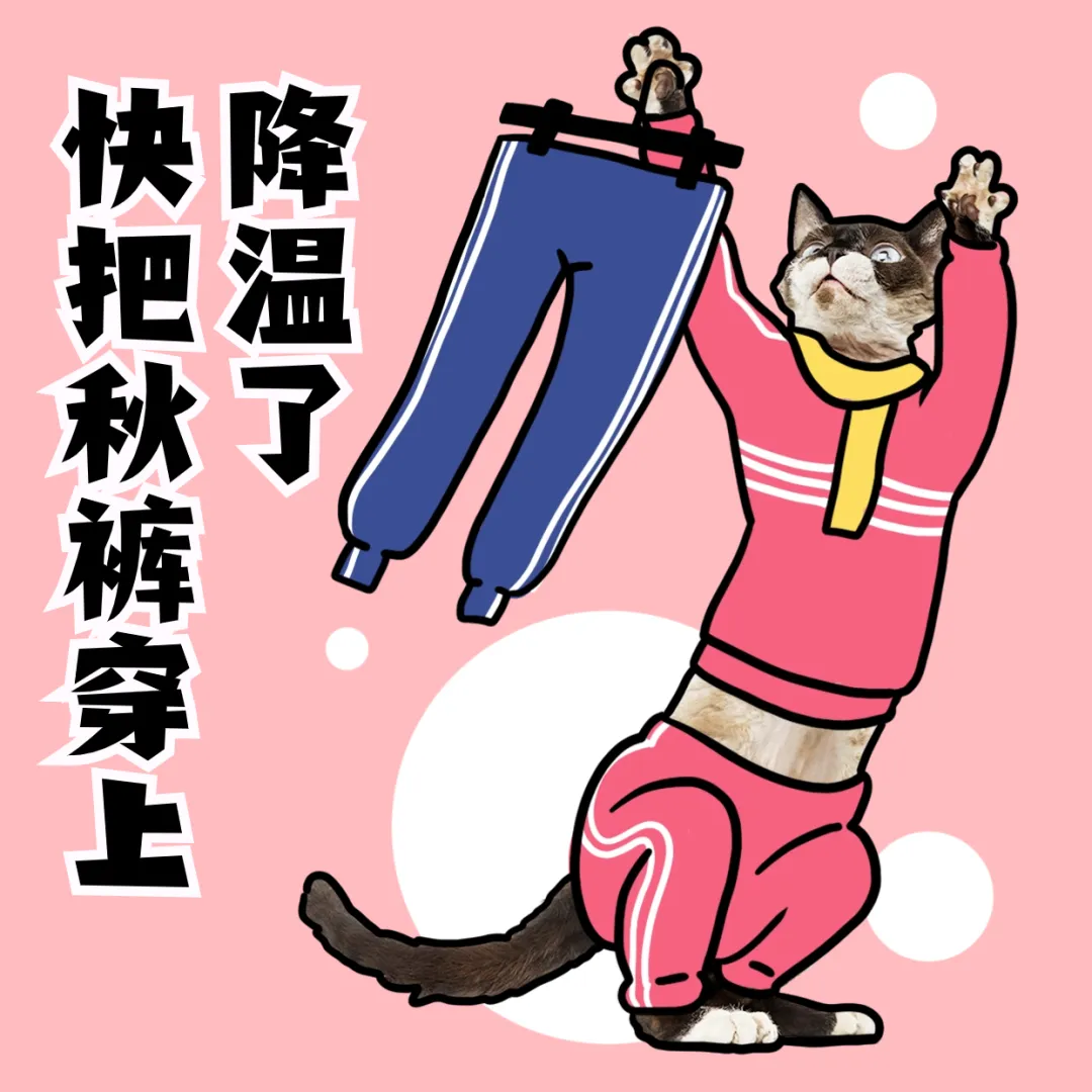 1735547671292.png