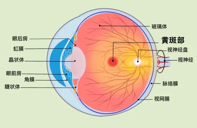 图片3.png
