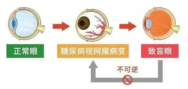 1736494911742.png