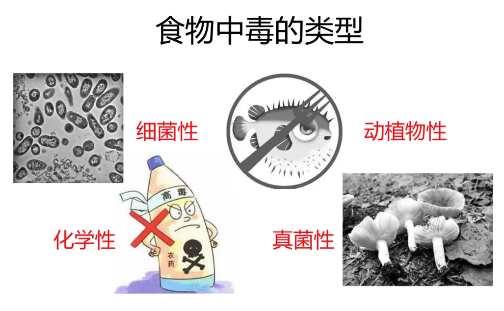1745199816947.png