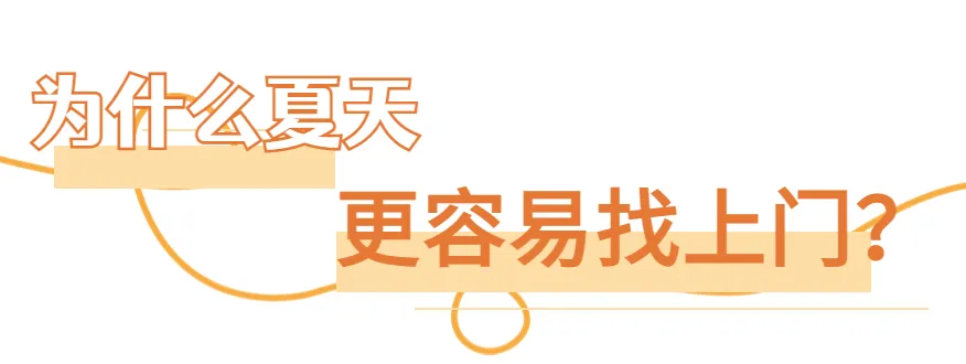 1745200087970.png