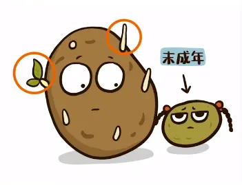 图片14.png