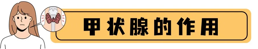 1748916435029.png
