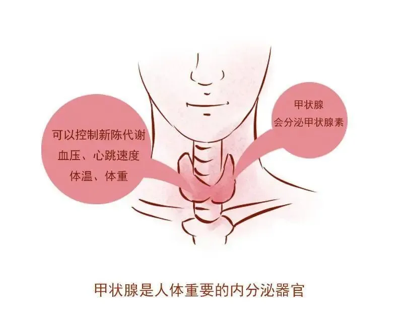 1748916448451.png