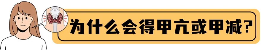 1748916969019.png