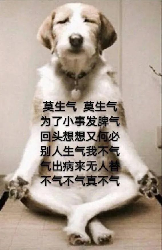 1748917690509.png