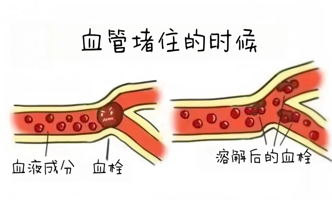 1749094098837.png