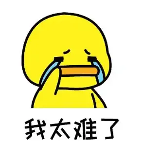 图片13.png