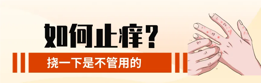 图片15.png