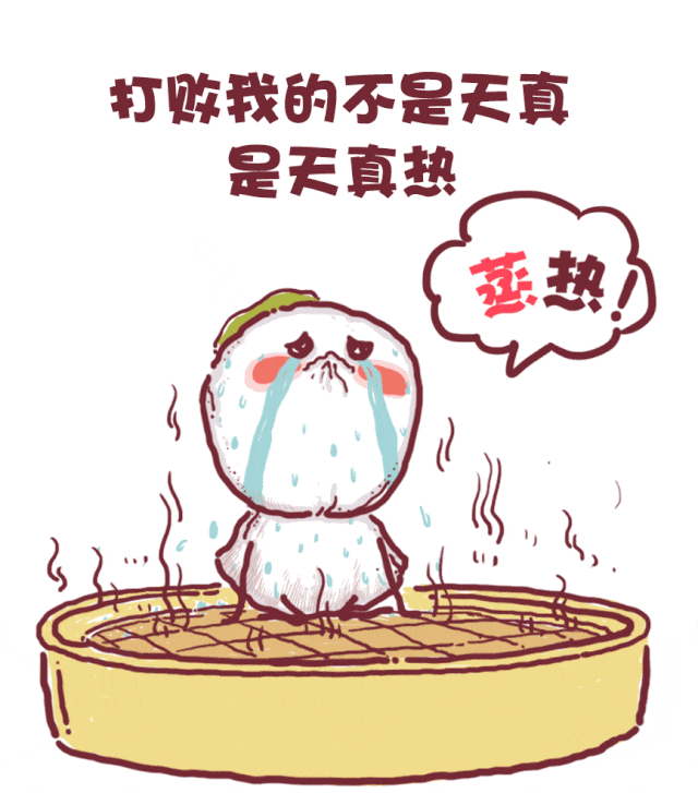 1754032284693.png