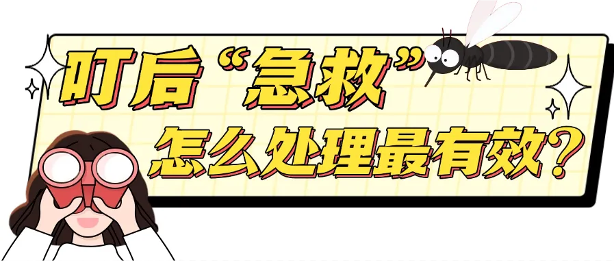 图片17.png