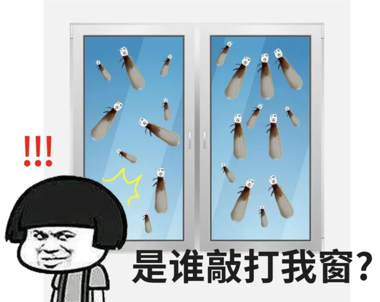 图片25.png