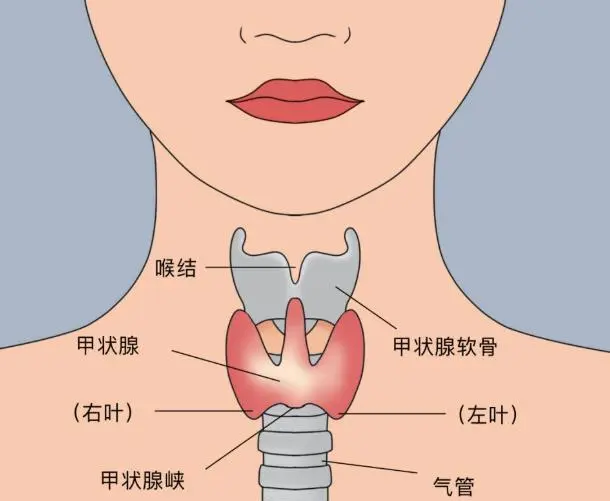 图片3.png